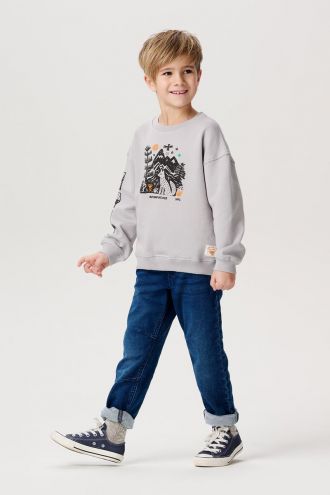 Noppies Kids Sweat Hugli - Silver  Scone